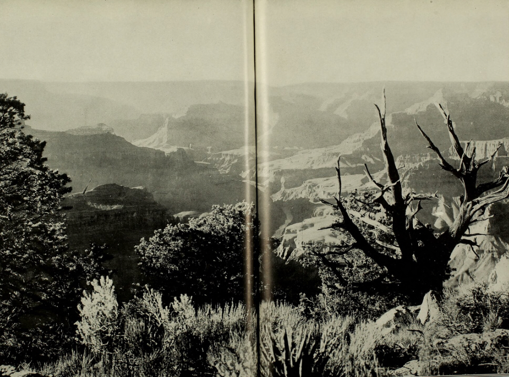 Founding of the National Parks System (1916)