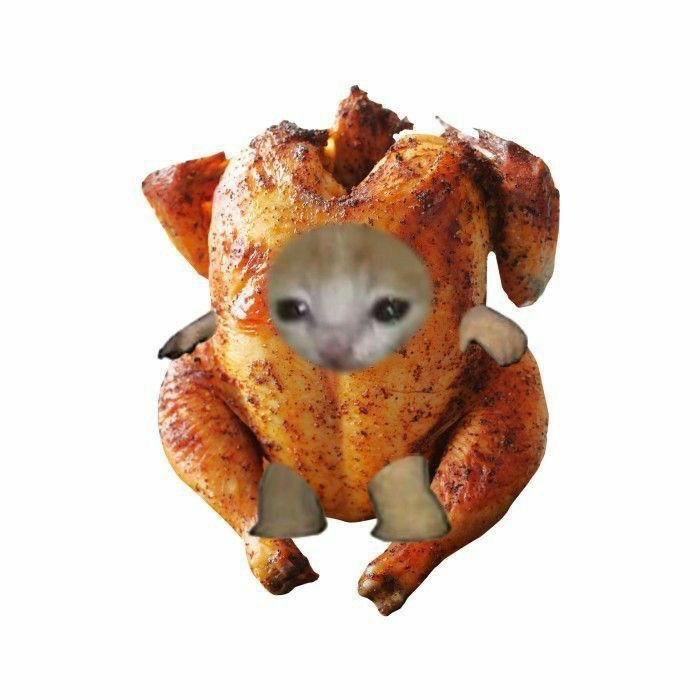 Rotisserie Rage: The Chicken Took Flight