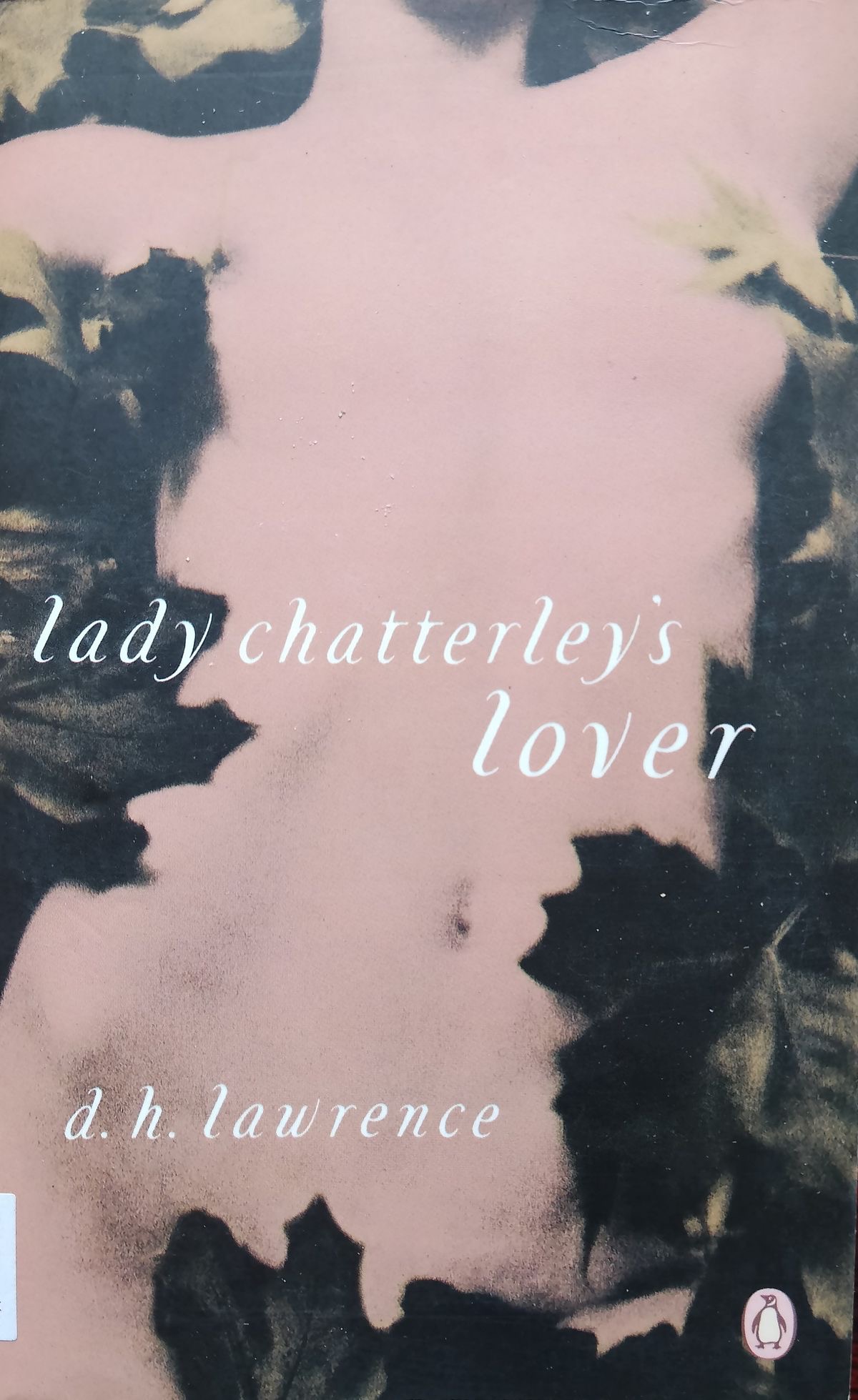 Lady Chatterley's Lover by D.H. Lawrence (1928)