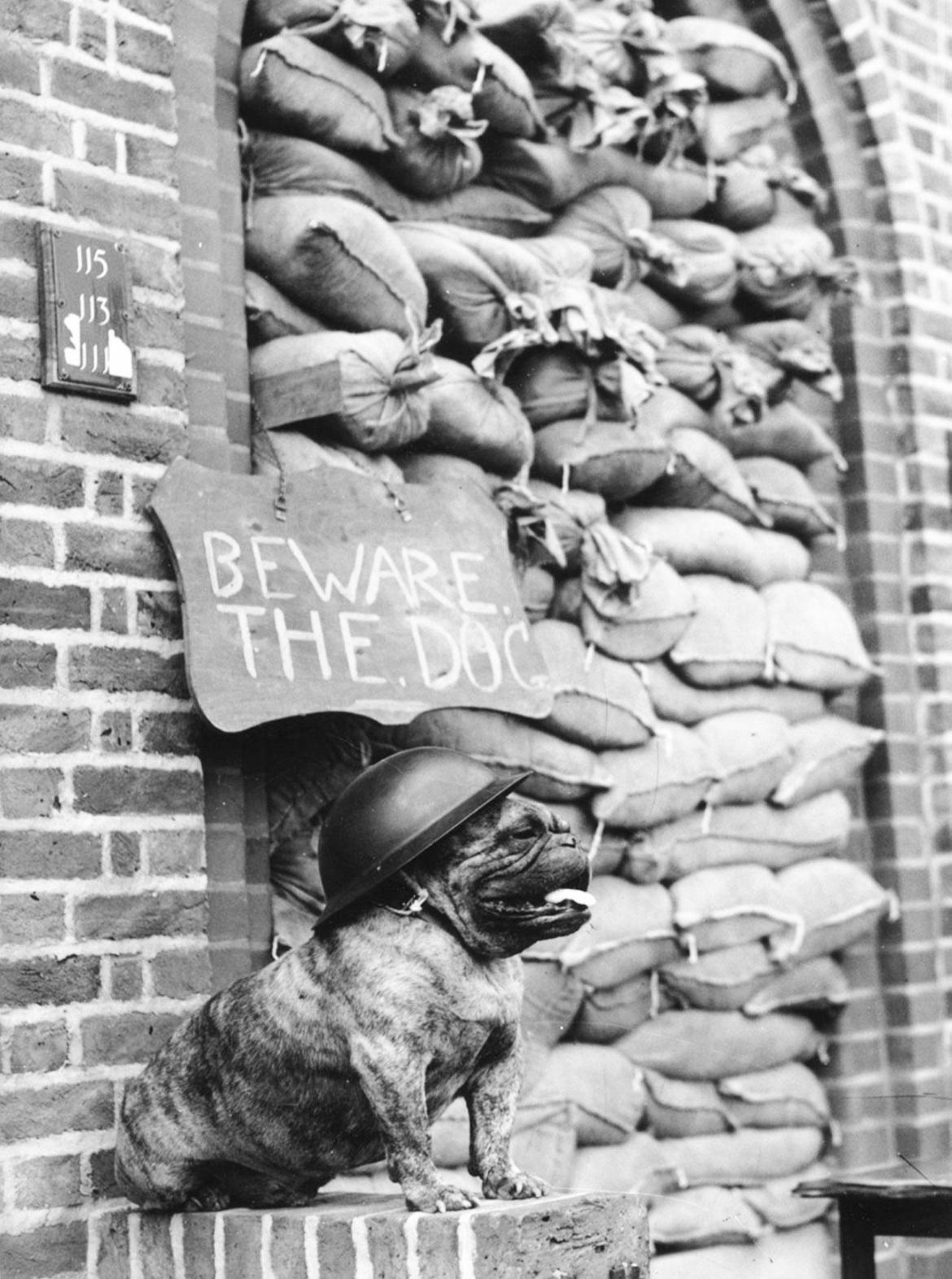 Helmet On, Pup Patrol: London Blitz, 1940 
