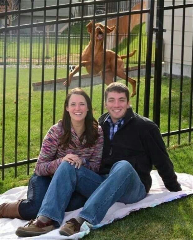 Photobomb Pup: Surprise in Mid-Air