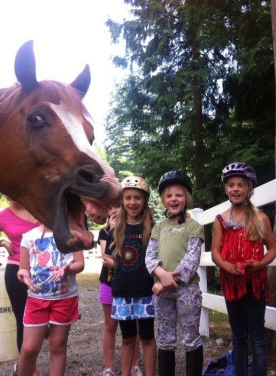 Horsing Around: Surprise Guest Ruins Cute Pic