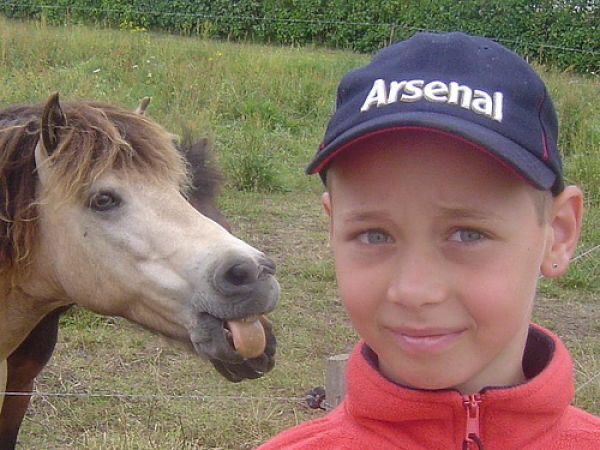 Selfie Horse & Boy: Who Did It Better?