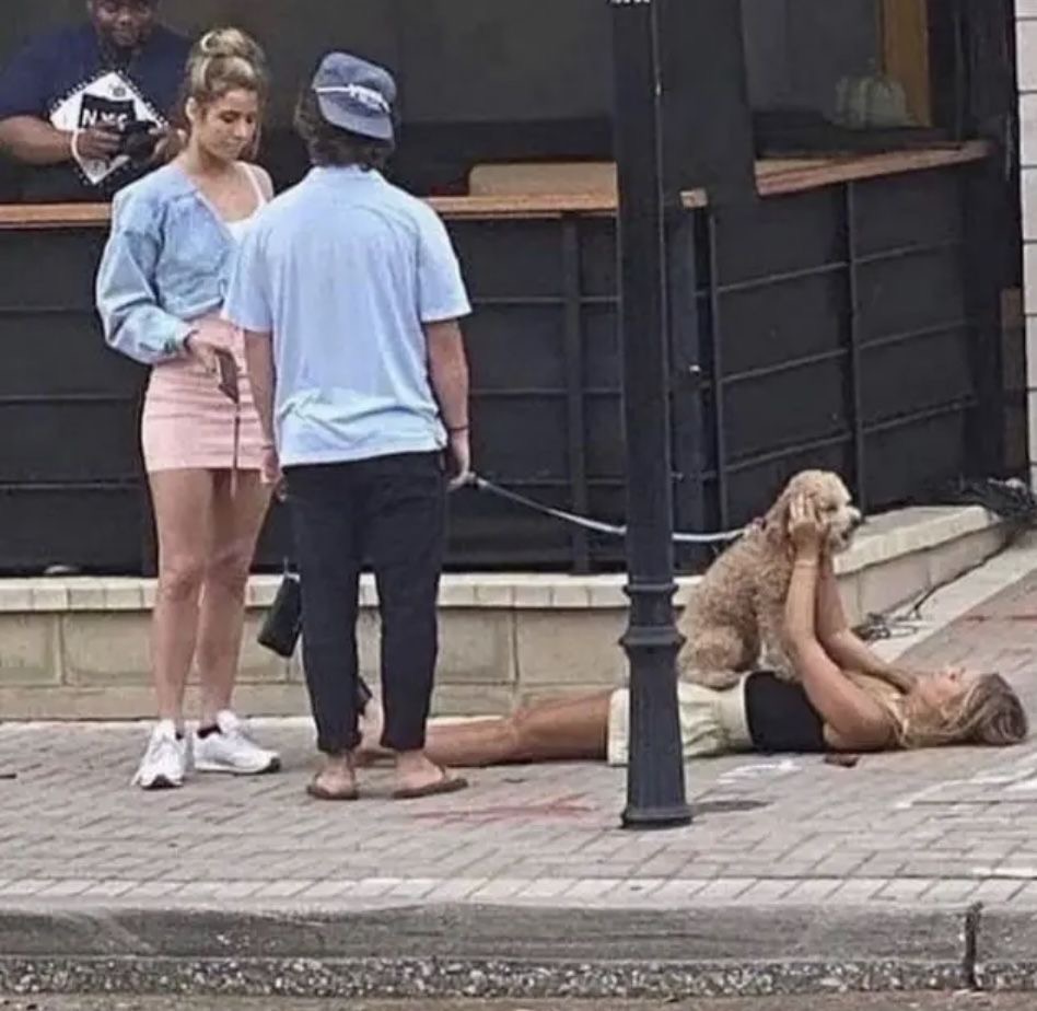 Dog Steals the Spotlight