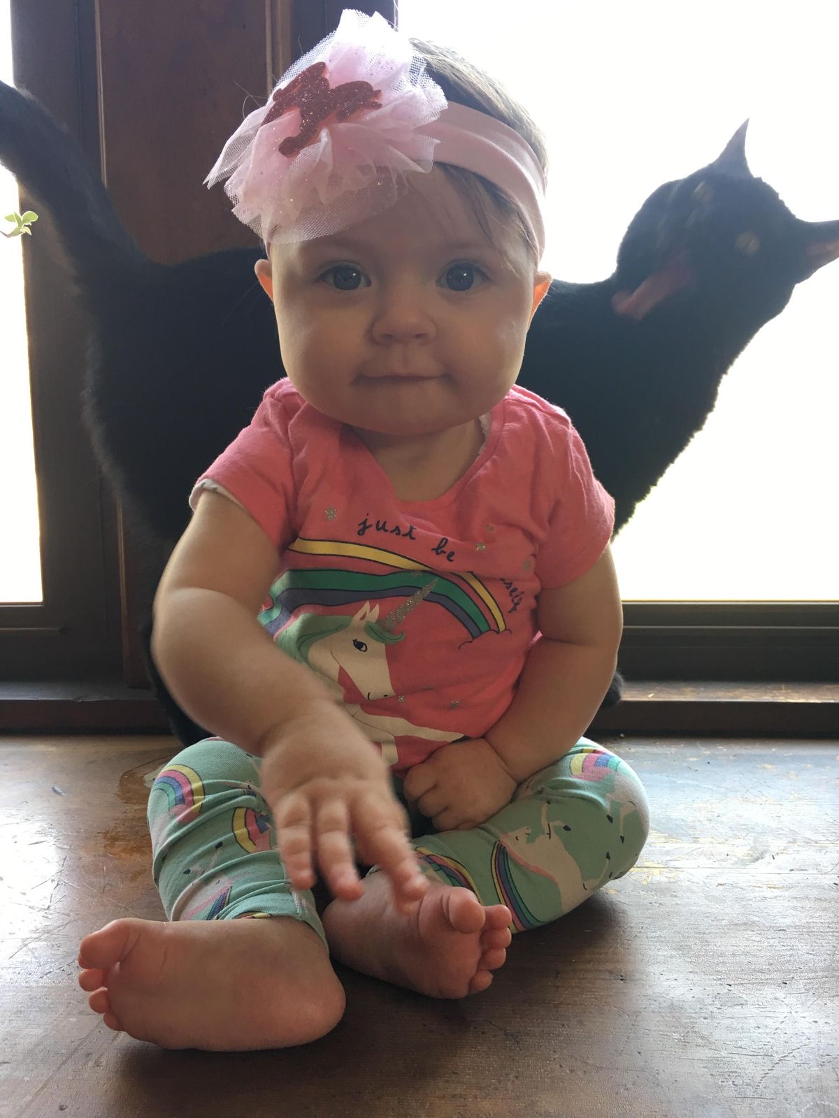 Baby & Cat: Adorabomb + Suspicious Gaze