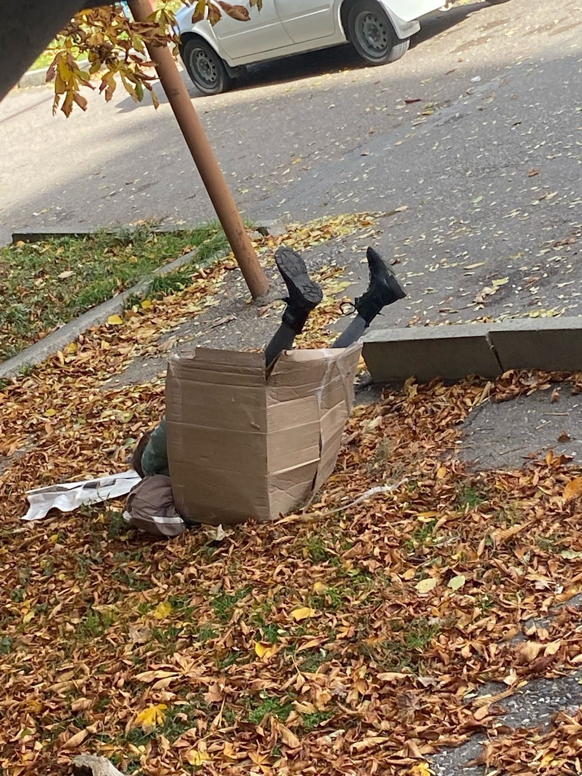 Boxed In: The Human‑Candid Combo