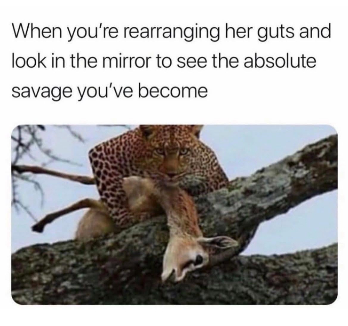 19 Spicy Facebook Memes from the Depths of Auntie Hell