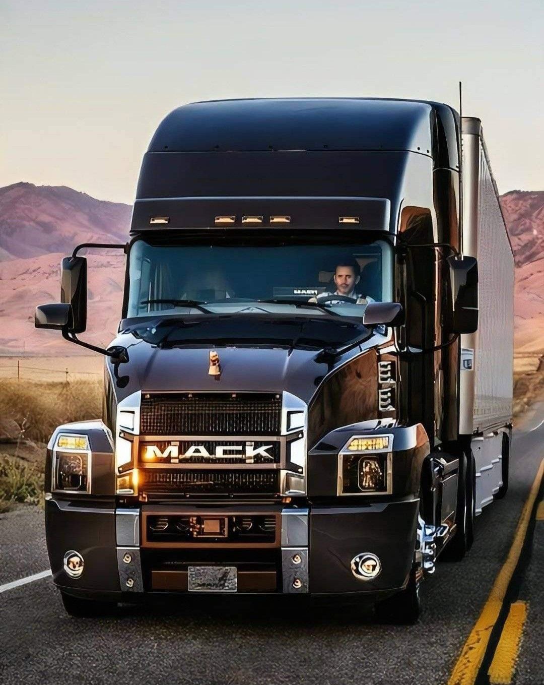 Yes, That Bulldog Hood Ornament Meant Business