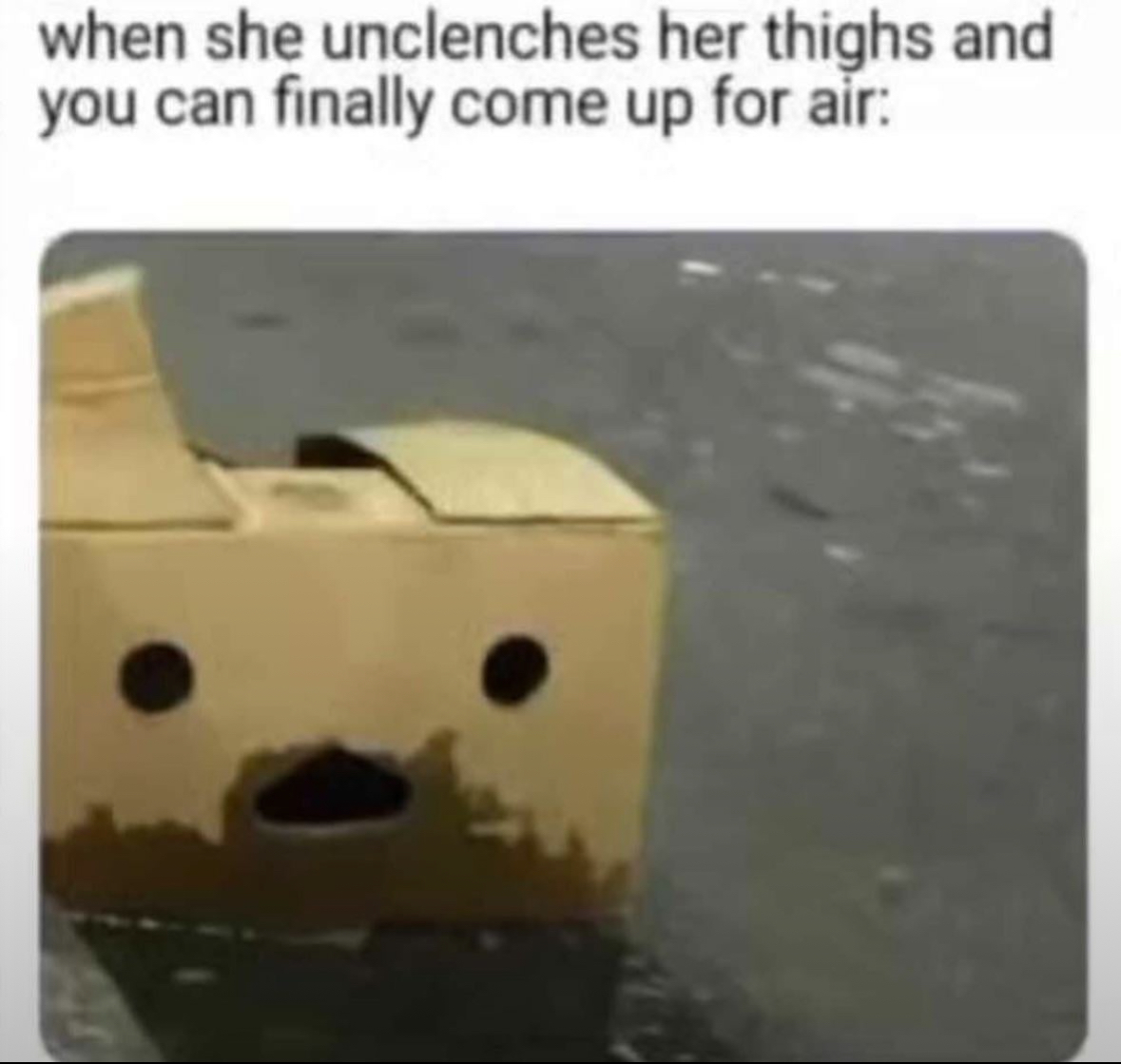 20 Filthy Facebook Memes That Are More Unhinged Than Your Aunt's Status Updates