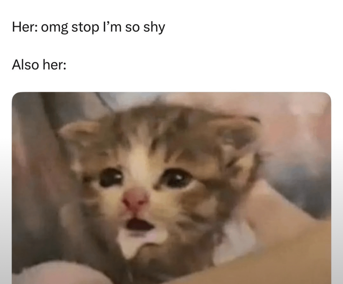 20 Filthy Facebook Memes That Are More Unhinged Than Your Aunt's Status Updates