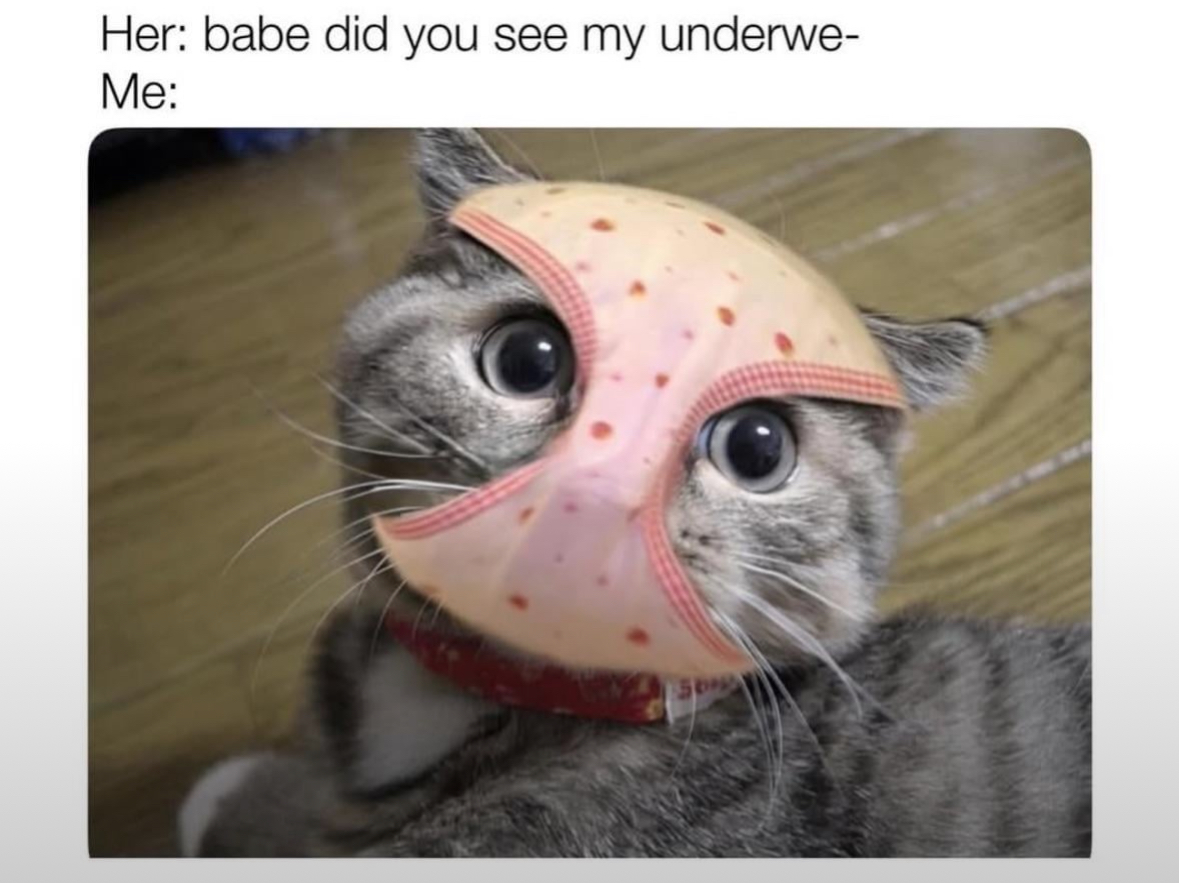 20 Filthy Facebook Memes That Are More Unhinged Than Your Aunt's Status Updates