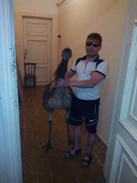 New Pet Just Dropped