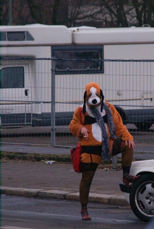 Fifty Shades of Bark