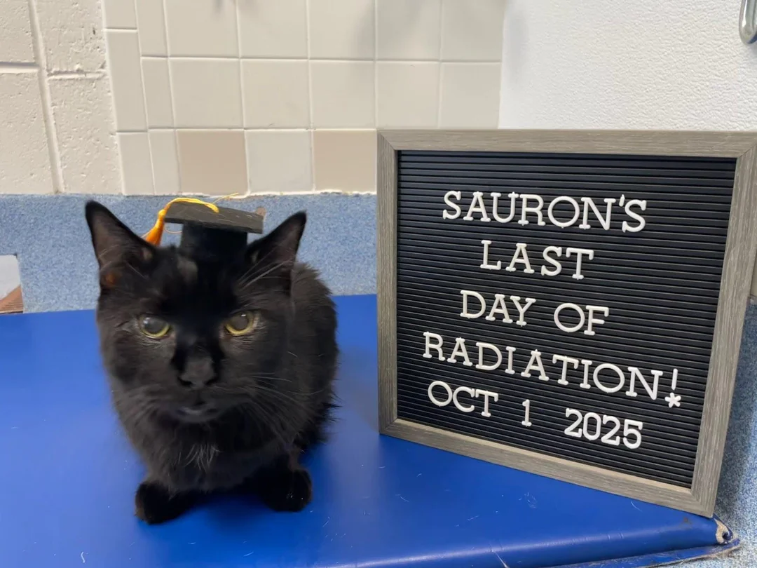 Happy last day of radiation to Sauron.