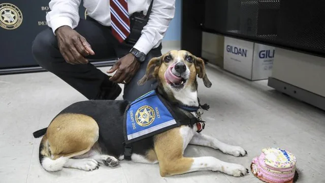 A cake for the best boy.