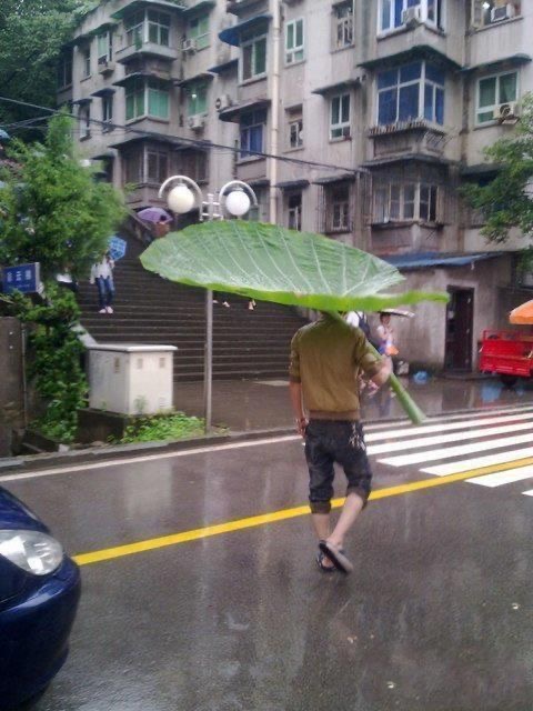 Mother Nature’s Umbrella Service