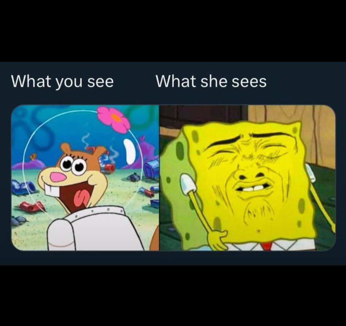 20 Horny Memes That Will Bless Your Timeline