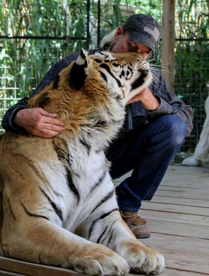 Just Two Apex Predators Having a Snuggle