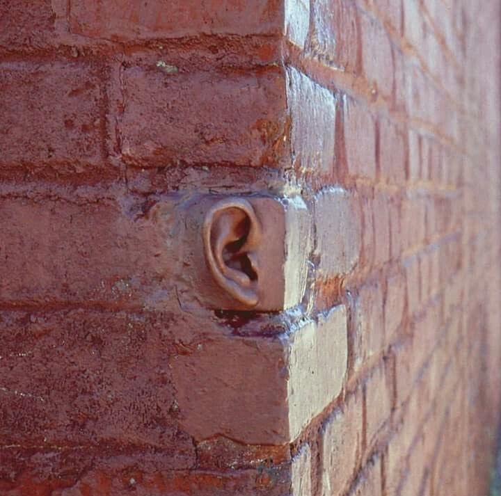 Someone Grew An Ear On This Brick And We’re Not Okay