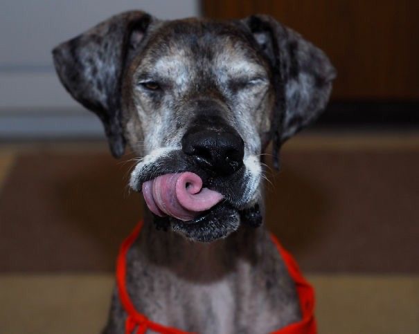 When Your Tongue’s Doing Yoga 