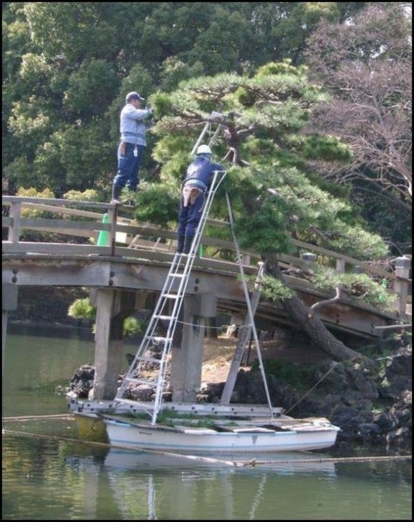 The Ladder... The Boat... The Denial.