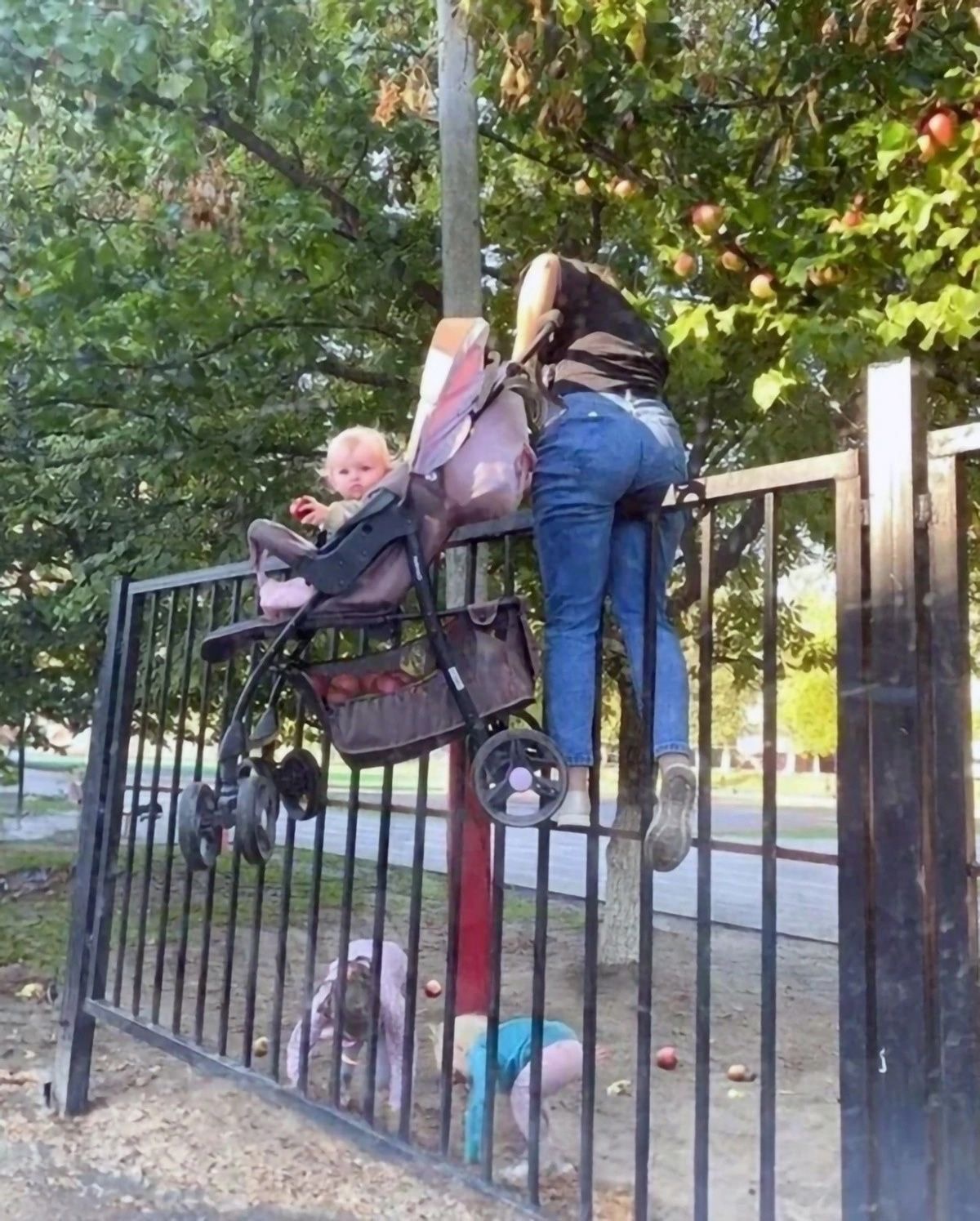 Apple Theft, But Make It Gymnastics.