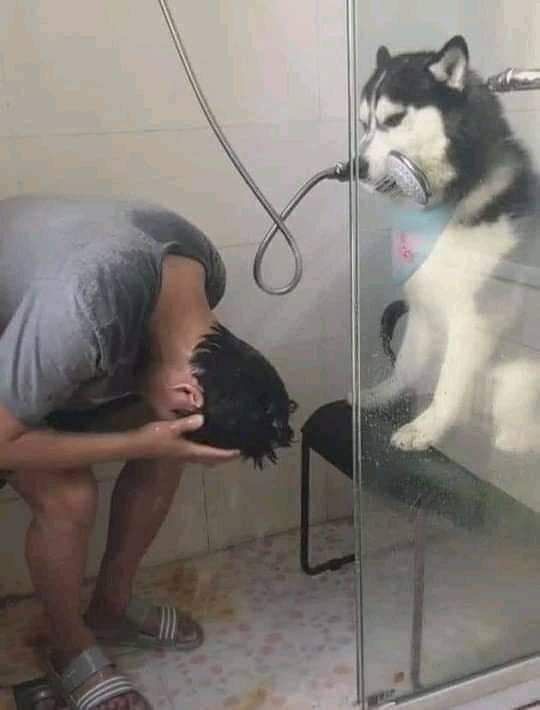 Mental Breakdown, But Make It a Buddy Cop Drama