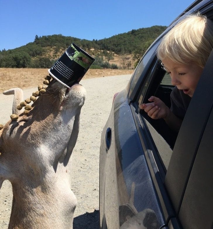 Here, Take One Peanut... HEY! NOT THE WHOLE BAG!