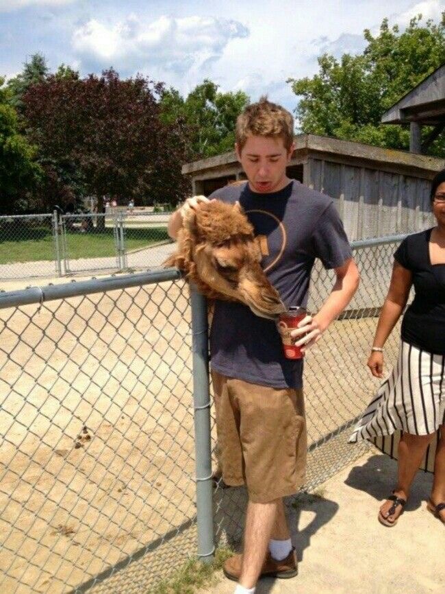 Zookeeper for a Day, Snack Thief Forever