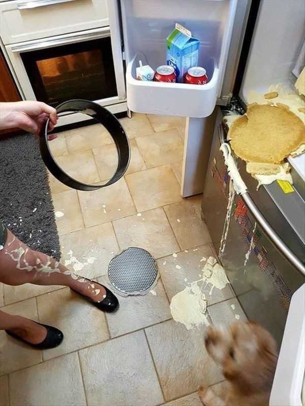 Cheesecake vs Gravity: The Final Showdown