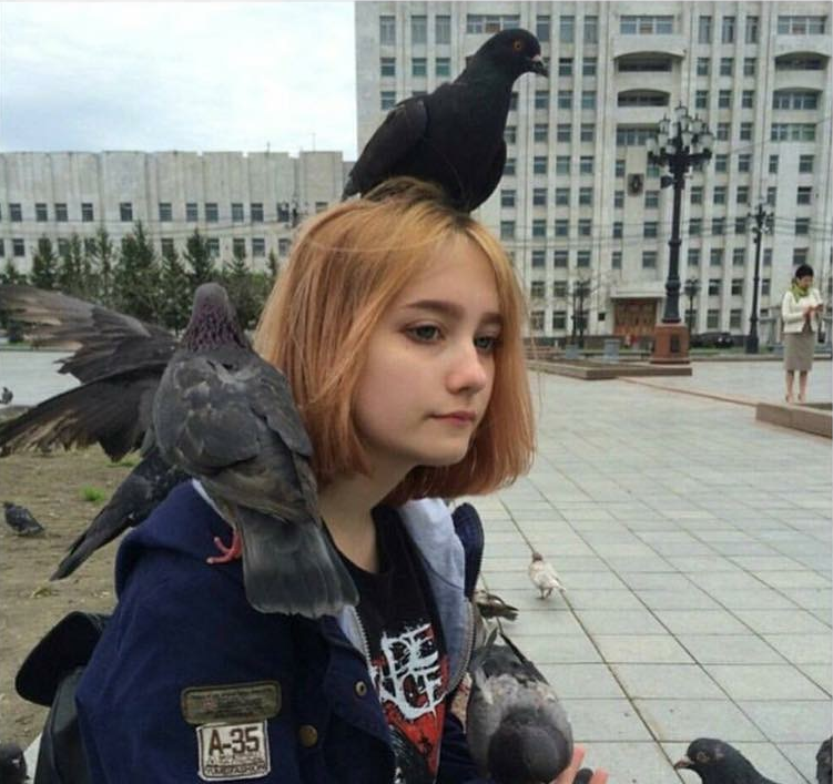 You feed one pigeon and suddenly you become the pigeon queen.