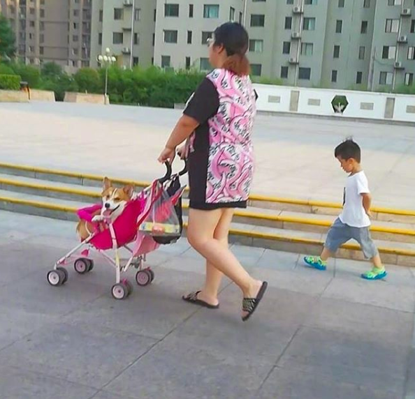 Sometimes you need to accept that you've been replaced.