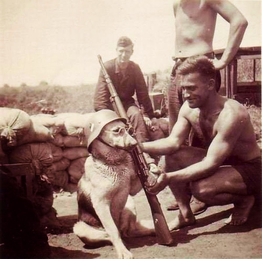 Soldiers during WWII share a moment of laughs.
