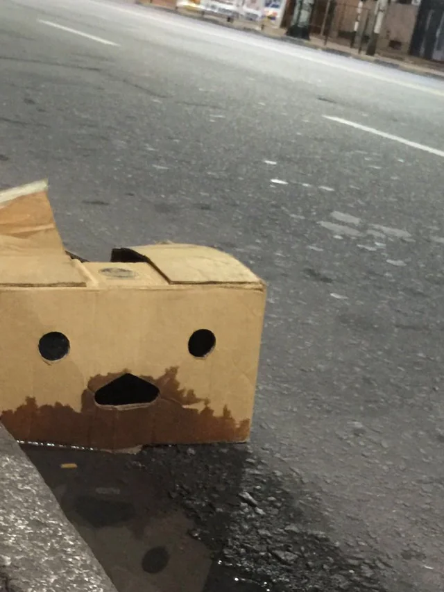 Rain hits different when you're a box.