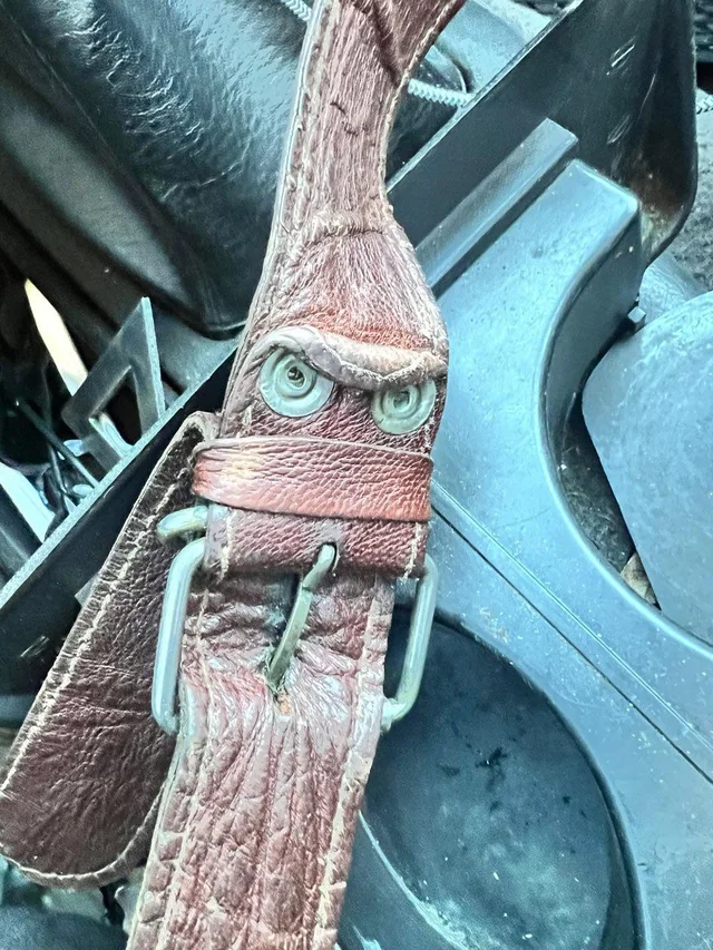 Someone had enough of the nonsense.