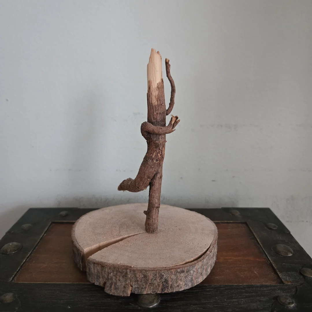 The forest is asking you to dance.