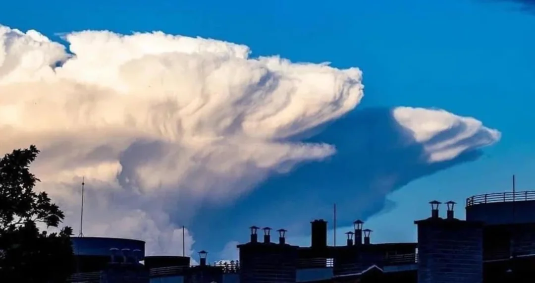 It's like a huge sleepy polar bear.