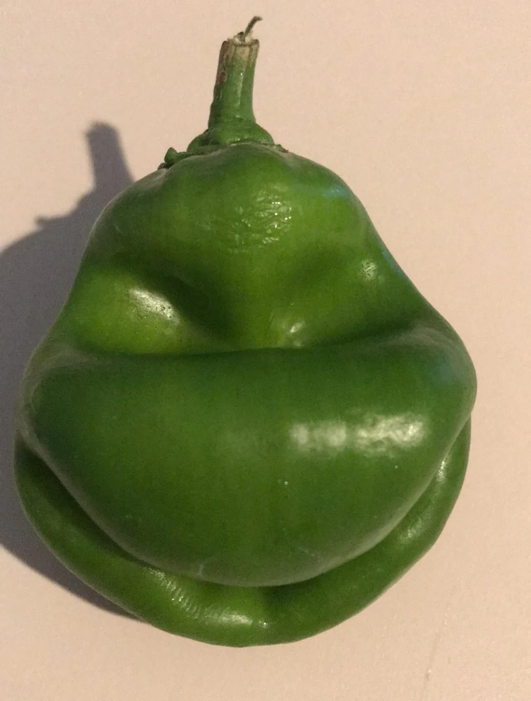 You're a mean one, bell pepper.