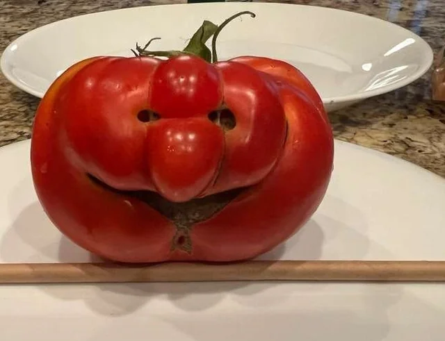 A tomato that will yell at you for sure.