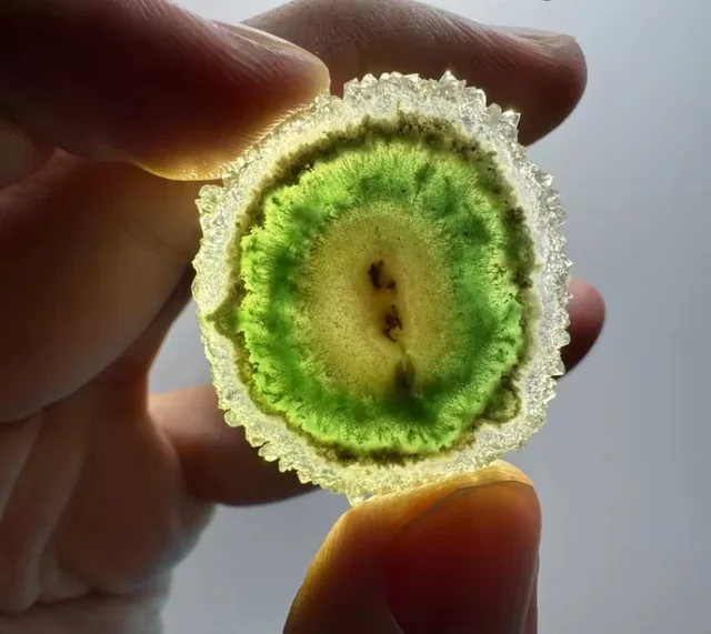 Geode or kiwi?