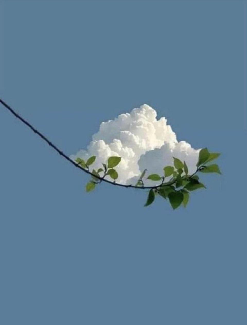 A picture perfect moment.