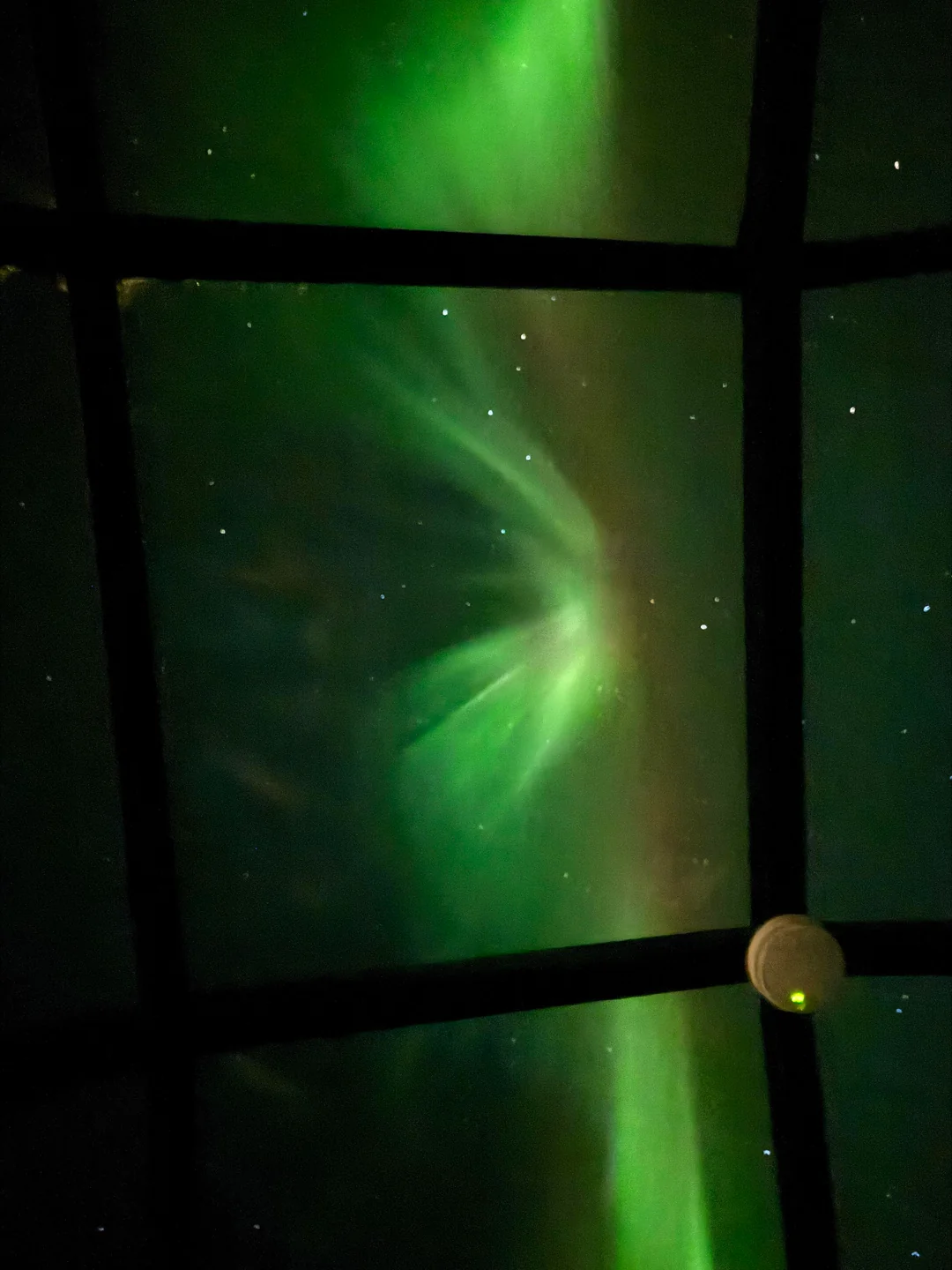 A special performance from the window.