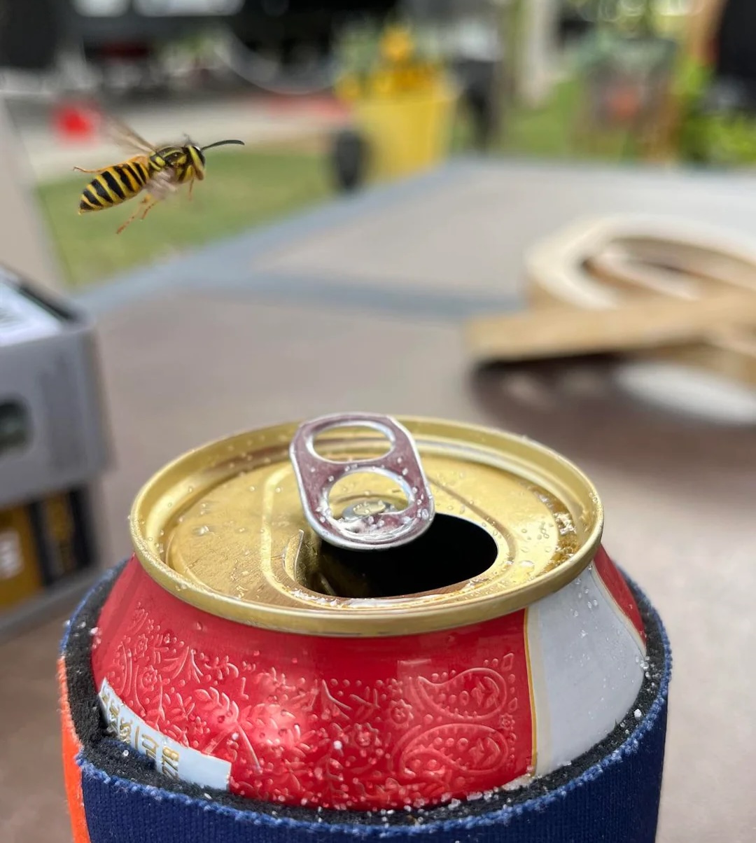 The buzz just got real.