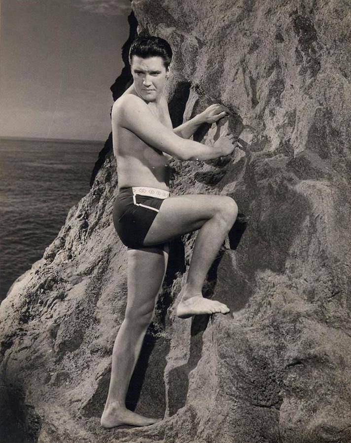 Even Elvis Couldn’t Resist