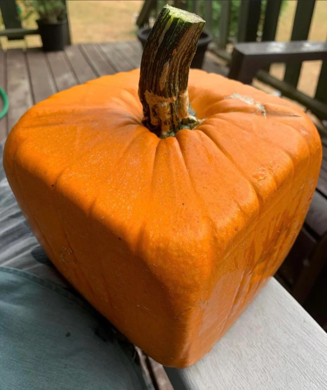 So square it has been working in accounting for the past months.