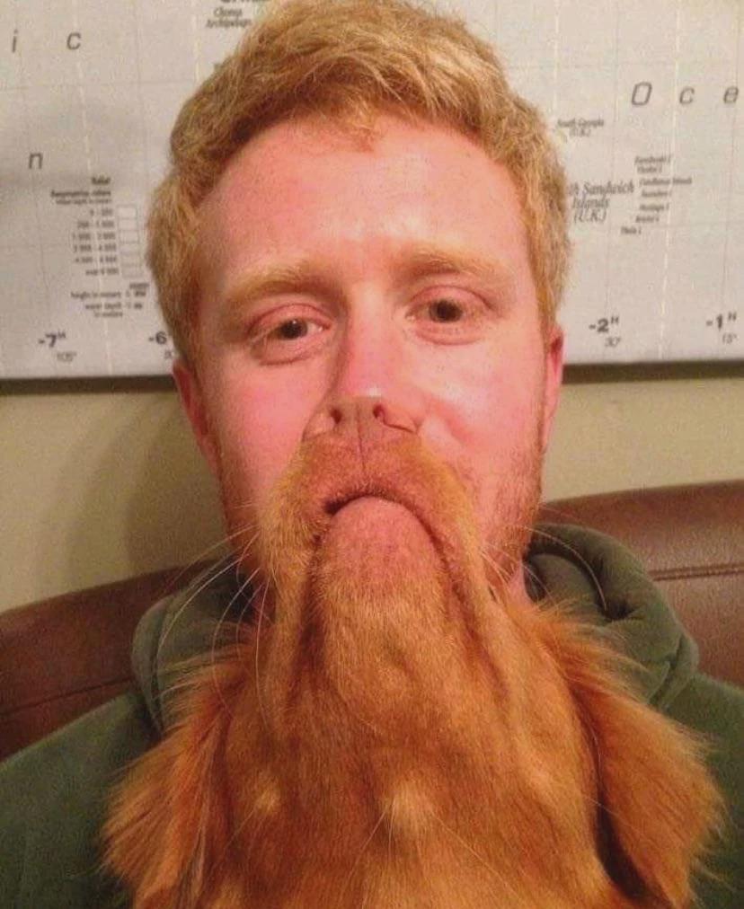 Man's best friend or maybe his beard.