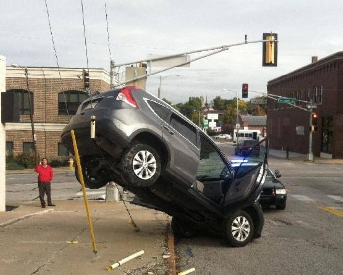 The Nose Dive Champion