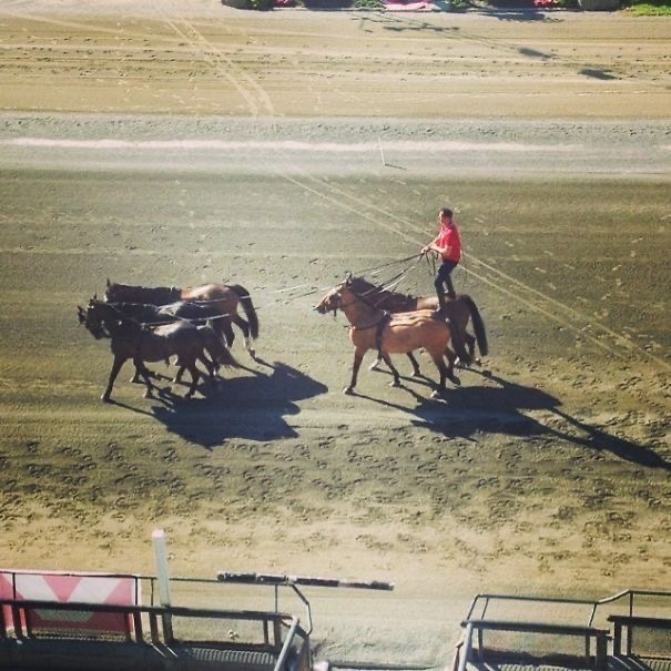 Horsepower Overload.