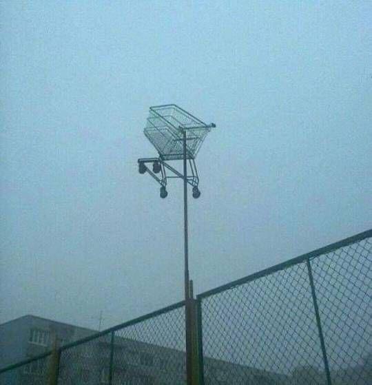Shopping cart or surveillance drone?