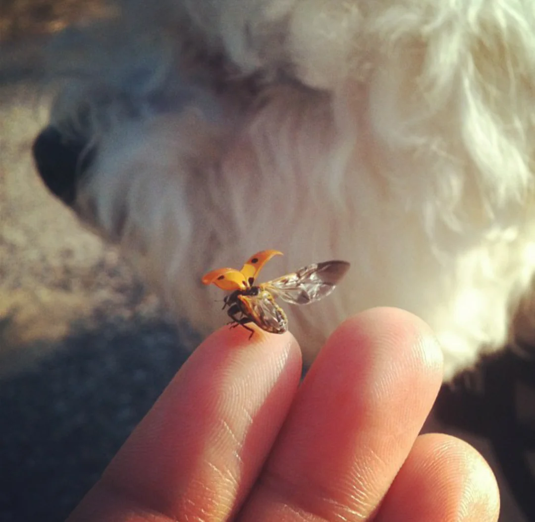 Preparing for take-off.